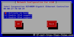 Configuration for eth0 Network Interface