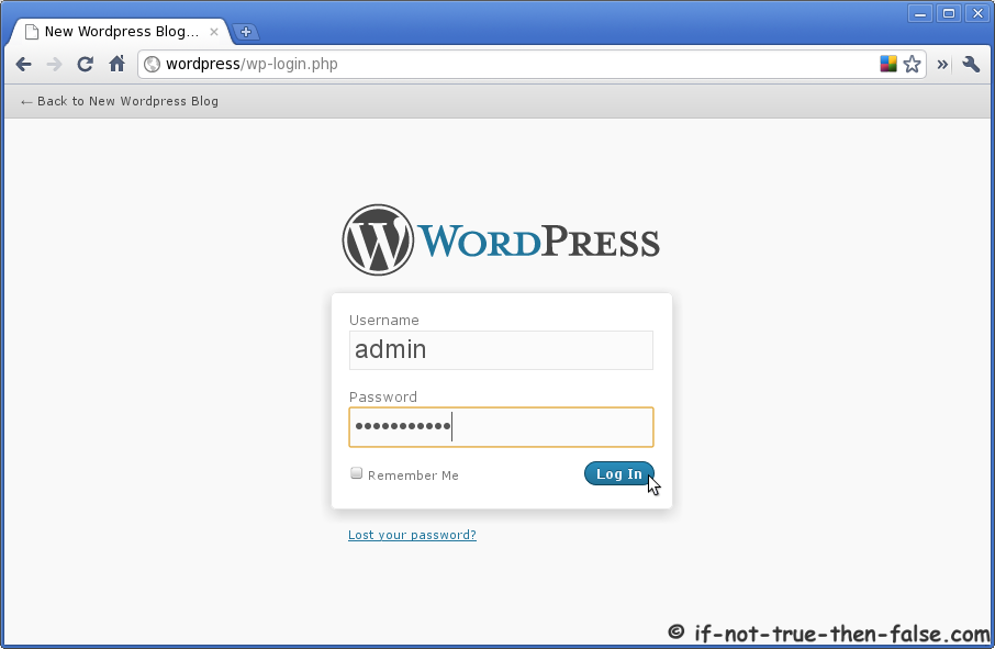 Wordpress Log In.