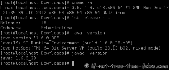 Fedora 18 Java 6 Console Output
