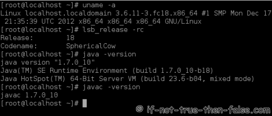 Java 7 on Fedora 18 Console Output