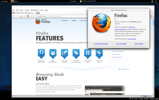 Firefox 6 running on Fedora 15