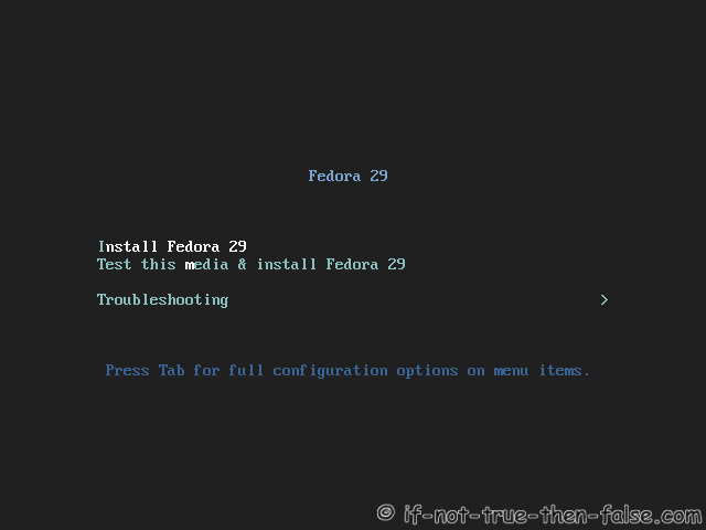 Fedora 29 Server Install Start Installer